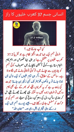 How 37 Trillion Cells Keep You Alive – Mind Blowing Science!