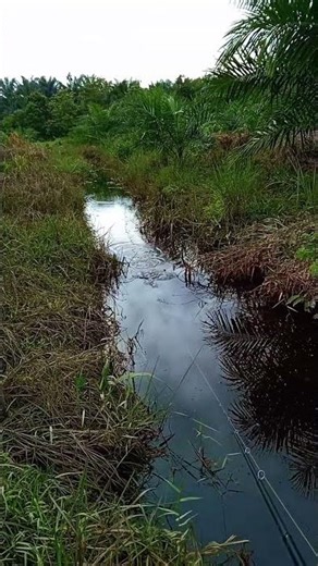 sentuhan tipis tipis dari ikan ini..