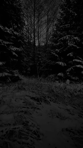 Night View: Ambient Music for Relaxing Nights