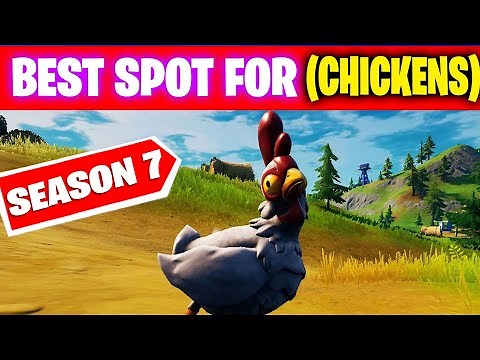 Where to Find Chickens in fortnite Season 7 - Best Spot For Chickens locations in fortnite