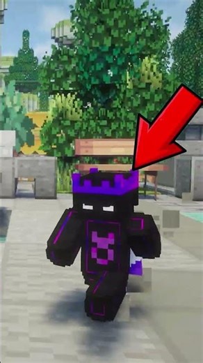 This Player is 1 Block Tall?! ⛏💎