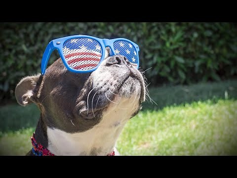 井上陽水 / NHK総合「ブラタモリ」 オープニングテーマ曲「女神」＆エンディングテーマ曲「瞬き」