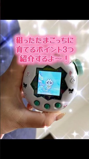 【たまごっちパラダイス】狙ったたまごっちに育てるポイント3つ！ #たまごっちパラダイス