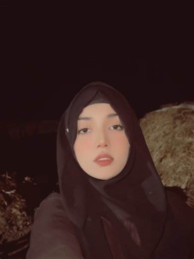 Creepy Spider Facts You Didn't Know