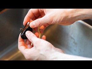 How to clean a mussel