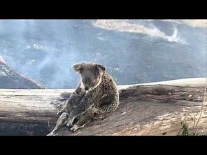 A little tribute ❤️