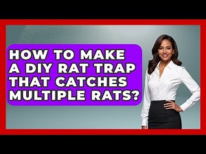 How To Make A DIY Rat Trap That Catches Multiple Rats? - Insects and Invaders