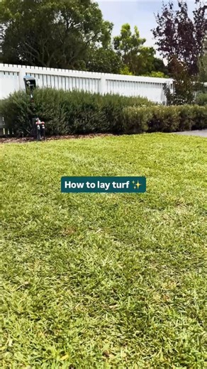 494K views · 1.3K reactions | Lawn goals, unlocked  Whether you’re starting from scratch or refreshing your outdoor space, we’ve got you covered on how to lay turf. And let’s be honest… nothing beats the look and feel of fresh grass ‍ Want the full step-by-step guide? Visit the link below. ➡️ www.bunnings.com.au/diy-advice/garden/lawn/how-to-lay-turf #Turf #Grass #Lawn | Bunnings Warehouse Australia | Facebook