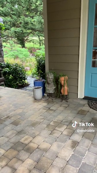 Cayenne Pepper: Chipmunk & Squirrel Repellent