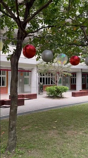 【東興國中10週年校慶】校園最美麗的廣場（絕佳打卡地點，青春的發源地—藝享舞台）#鳥語花香#校慶