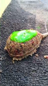 The icing on the cake for anglers. The new Smoke Juice from FTM #fishing