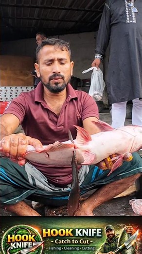 Incredible Giant Pangas Fish Filleting #pangasfish #asmrfishcutting #fishcutting #seafood #asmr