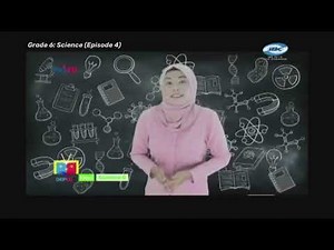 Grade 6 Science Ep4: Identify the Different Types of Colloids