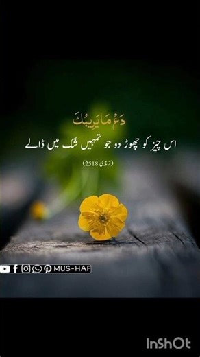 Islamic channel kisi se kyu karu fariyad kawish _ wo mera nabi hai _ naat sharif #islamic
