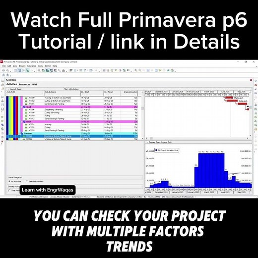Primavera p6 Planning Engineers Skills