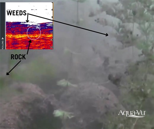 Using an Aqua-VU underwater camera will help you understand what your electronics are showing you in a boat. Rocks and hard bottom are hard to pick up on your sonar when there are a lot of weeds. Scouting and finding these areas in the spring with sonar and then checking them with an Aqua-Vu underwater camera will help you find the best "spots" on the spot. Have more confidence all season because you "know" what it looks like, even when you just see weeds! #Aquavu #underwatercamera #liveview #mu