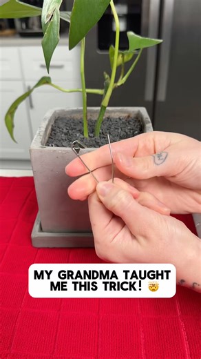 12K views · 42 reactions | Your welcome! | The JS Show | Facebook