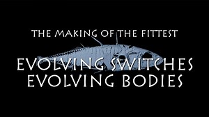 3.1K views · 66 reactions | How does evolution account for loss as...