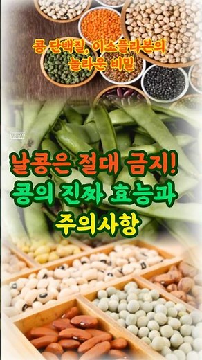 날콩은 절대 금지! 콩의 진짜 효능과 주의사항/콩 단백질, 이소플라본의 놀라운 비밀