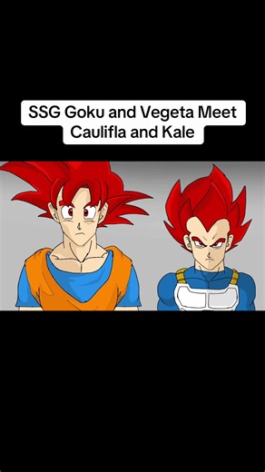 SSG Goku and Vegeta Meet Caulifla and Kale #goku #vegeta #caulifla #kale #supersaiyangod