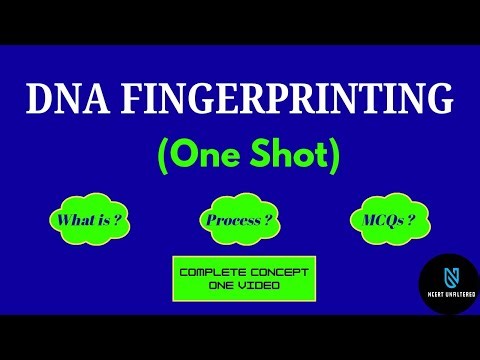 DNA Fingerprinting | Concept, Steps & Applications with PYQ Discussion | NEET/NET