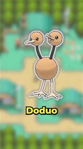 Random Facts About Doduo Pokemon