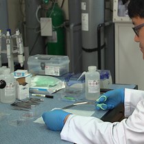 Video: Preparation of Graphene Liquid Cells for the Observation of Lithium-ion Battery Material