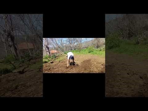 ΠΡΟΕΤΟΙΜΑΣΙΑ 2026