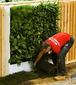 2.6M views · 1.7K shares | Create your own oasis!  bit.ly/2kIr635 WorldSkills | 5-Minute Crafts | Facebook