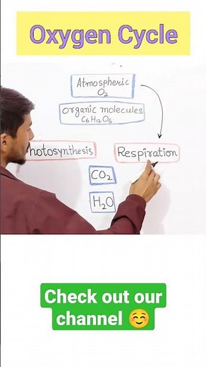Oxygen Cycle in 60 Seconds ✅ What is oxygen Cycle in hindi? #biology #class9