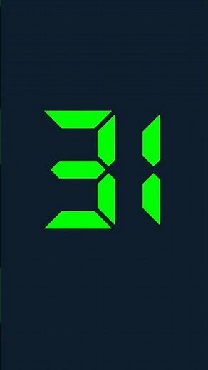 31 seconds digital timer