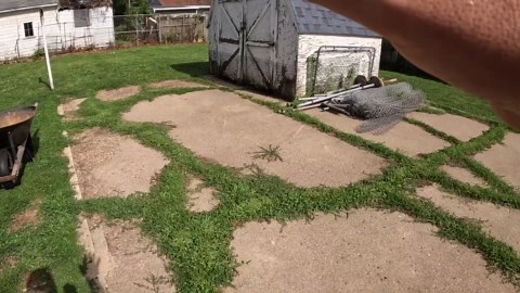 Amazing overgrown patio transformation: Satisfying concrete cleaning reveal!