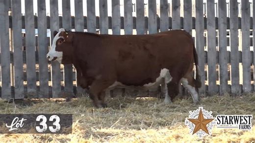 Lot 33 - Starwest SimPower 2025.mp4