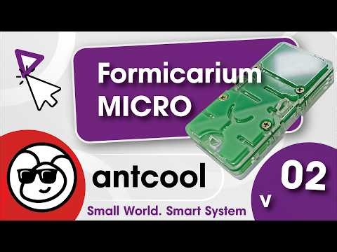ANTCOOL MICRO Formicarium | Smart Start for a New Ant Colony