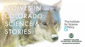 Wolves in Colorado: Science & Stories - The Institute for Science & Policy