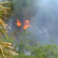 Brush fire in Collier County causes temporary road closures