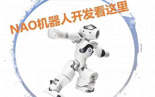 NAO学习手册 (基础篇) - 操作指令示范