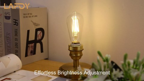 Lafoy LED Edison Bulbs 60 Watt Dimmable, Vintage E26 Light Bulb Soft White 2700K, ST58 Teardrop Antique Style 60W Equivalent Lightbulbs, Medium Base 6W 700 Lumen 120V, 6 Pack