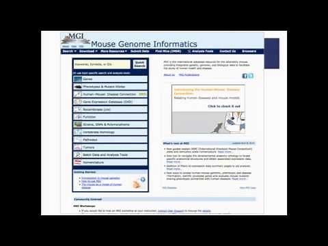 Introduction to Mouse Genome Informatics: worksheet module 1