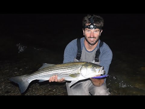 How to Catch Stripers from Shore with Swimming Lures