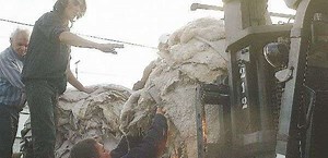 Informe señala que bajó contaminación industrial