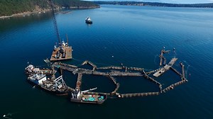 Finfish net pen aquaculture banned in Washington