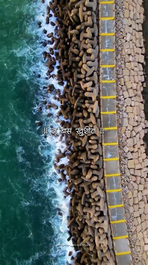 Tula Japnar Aahe | Khari Biscuit | मराठी गाणी #marathisongs #lyricsvideo #brothersister #shorts #yt