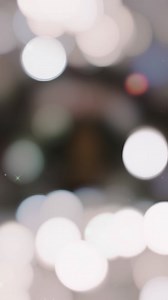 Watson Farm Christmas Trees on Reels