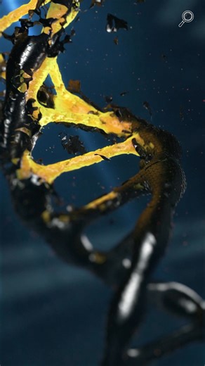 The craziest discoveries of 2025! 😱 . . . #curiosities #curiosity #animals #didyouknow #curious #curiousworld #unknown #curiosities🔍 #knowledge #likes #unknownfacts #facts #unbelievablefacts #curiousfacts #didyouknow❓ #curious #fact #mystery #news #novelties #amazing #knowledge #didntknow #worldcuriousfacts #incredible #nerdcuriosities #fantastic #fantasticnerd | Clan of the Curios