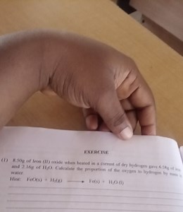 EXERCISE(1) 8.50 g of Iron (II) oxide when heated in a current... | Filo