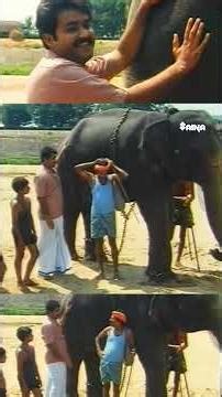 ഉത്സവം കഴിഞ്ഞ് എല്ലാരും പോകുമ്പോ സങ്കടാ..#shorts