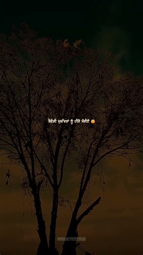 Temporary pyar song 😔 #shorts #viral #lyrics #trending #youtubeshorts