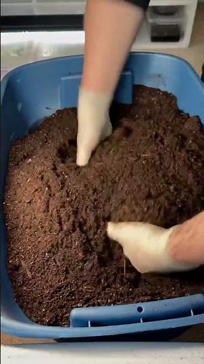 Here is how to make an extremely nutrient-rich, well-draining bioactive substrate!