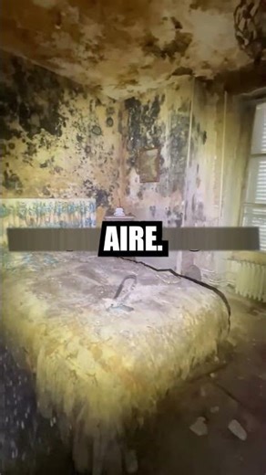 La Casa Más Mohosa del Mundo 😱 | No Creerás lo que Encontraron Dentro